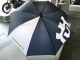 CORPORATE UMBRELLA